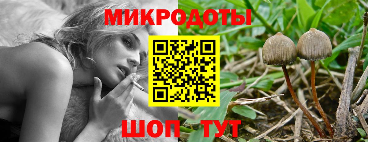 Галлюциногенные грибы мухоморы Кыштым