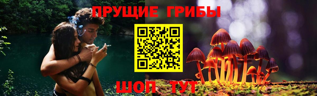 Псилоцибиновые грибы мухоморы  Вход с VPN  дарнет шоп  Кыштым 