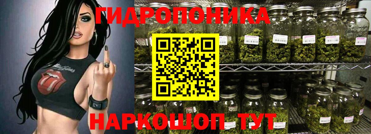 Кыштым  Бошки марихуана OG Kush  Вход с VPN  Бошки Шишки сатива  Каннабис AK-47 